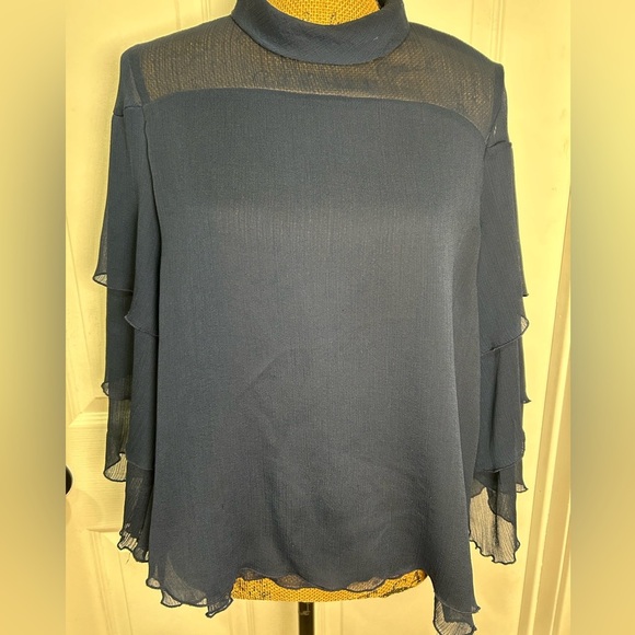 Ann Taylor Navy Sheer Blouse - Picture 3 of 3